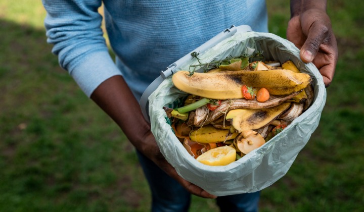 6 Benefits of Composting at Home | The Sarkis Team  Douglas Elliman
